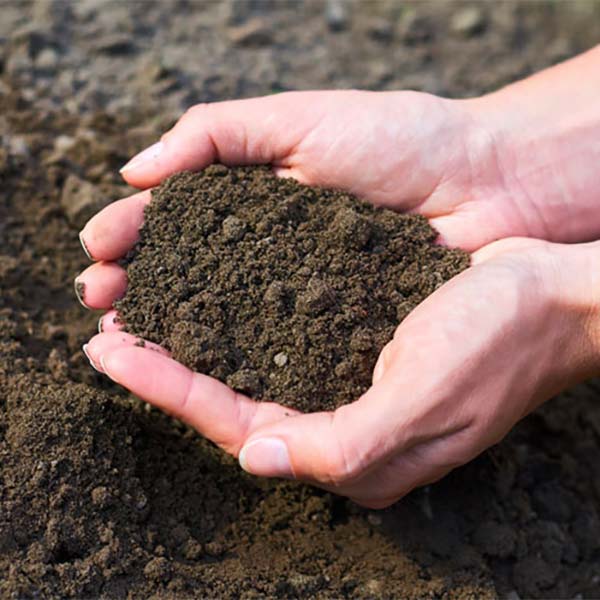 aerated soil
